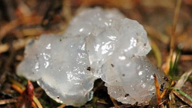 عجیبترین پدیدههای آب و هوایی