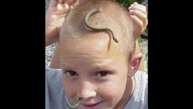 انسان های عجیب