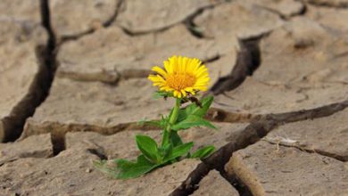 Resiliency